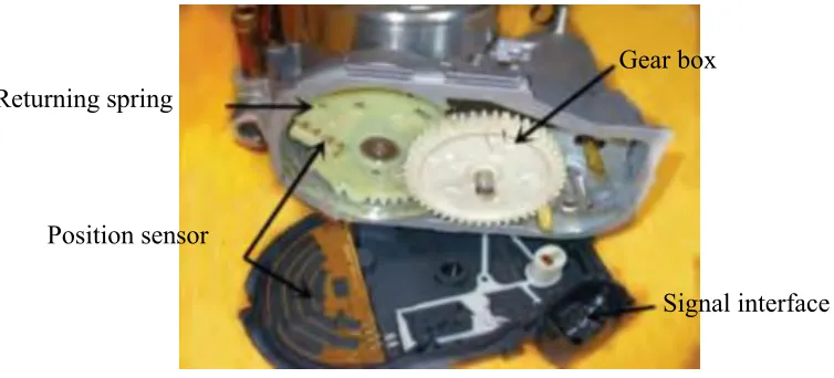 Figure 1.2: Internal view of ETB. 