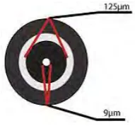 Figure 2.1b: Single-mode fiber optic. 