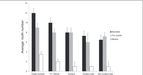 Figure 4 Bar graph showing the average number of teeth in the mandible, premaxilla and maxilla of surface, Tinaja cavefish, F1hybrids, and surgery surface fish