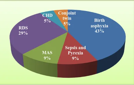 Figure 1: Causes of perinatal mortality. 