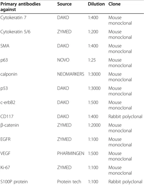 Table 1 The primary antibodies used in this study