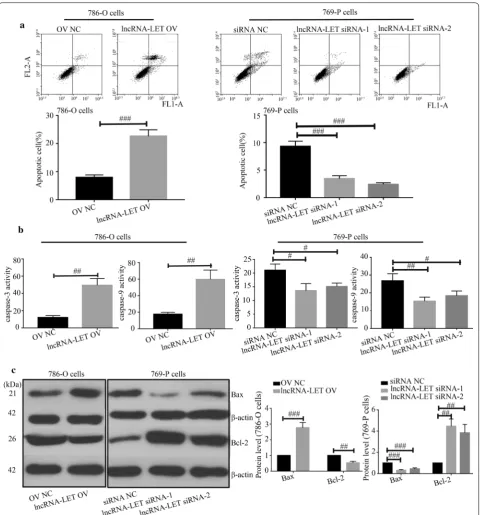 Fig. 4 LncRNA-LET promotes cell apoptosis in ccRCC cells. a Cell apoptosis was studied by flow cytometry