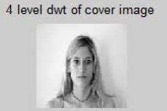 Fig. 5. Apply 4-level DWT of cover image to decompose image into four frequency band.  