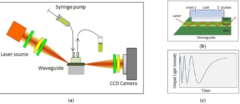 Figure 1. Designs of ((Figure 1.a) planar waveguide and (b) polarization interferometer (PI) experimental setup; (c Designs of () expected output signal waveform