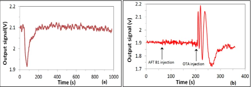 Figure 5.Figure 5.  Control tests: (Control tests: (aa) typical PI sensor response to washing out nonspecifically bound OTA (1 ) typical PI sensor response to washing out nonspeciﬁcally bound OTA