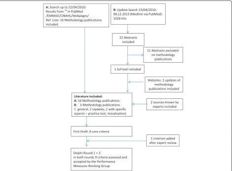 Fig. 1 Literature review and consensus process for reporting criteria on guideline-based performance measures