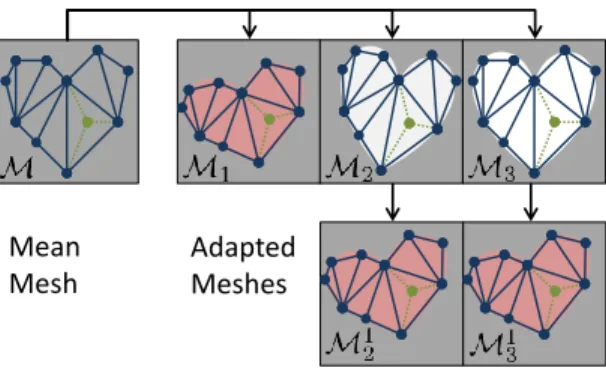 Fig. 3. Surface correspondence is validated by adapting a mean mesh M to different anatomies and using the resulting meshes M j as mean meshes for a second adaptation step whose outputs are compared to each other.