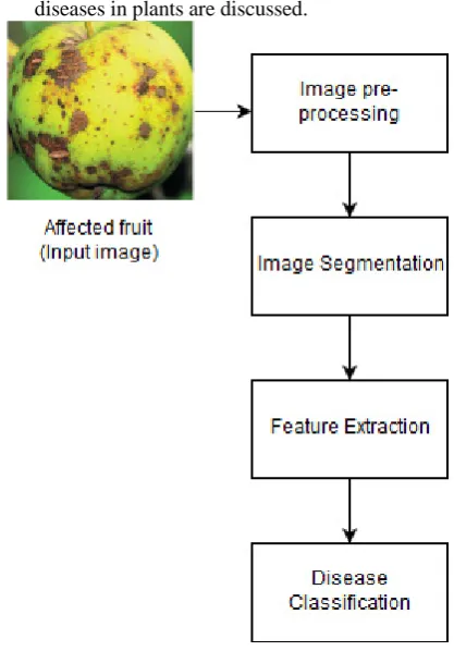table between techniques used in disease detection and classification of plants. Section5 gives results of existing literature in terms of Mean Square Error, Accuracy and 