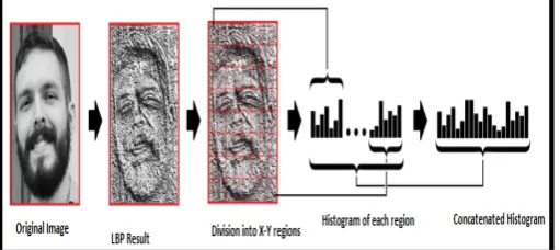 Figure 5.  Obtaining Histogram of Image. (leka gulo) 