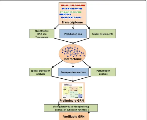 Figure 7 Gene regulatory network (GRN) construction pipeline flowchart. A visualization of how an embryonic transcriptome fits into theworkflow for constructing a validated GRN