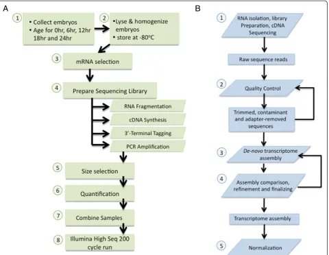 Figure 2 Experimental and computational workflow. (A) (1) Harvesting embryos after fertilization and subsequent aging all took place at 18°C.(2) After lysis and homogenization of embryos using Invitrogen lysis buffer and a pestle, lysates were stored at −8