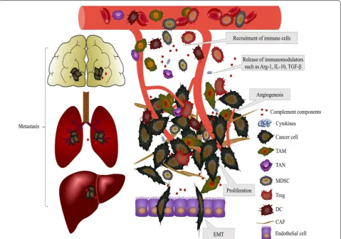 Fig. 2 Effects of complement activation on the TME. Activation of the complement system inside tumors releases complement components, such as C1q, C3a, and C5a, into the TME and promotes tumor carcinogenesis