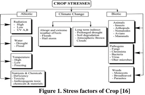 Figure 2. Disease detection process on plant leaf images [5]  
