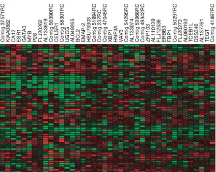Fig. 8: Example of a heat-map of gene expression in cancer tumours. Source: [28].