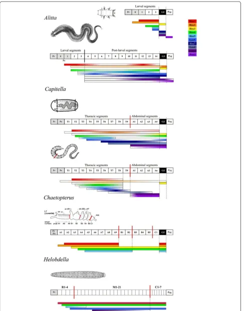 Figure 10 (See legend on next page.)
