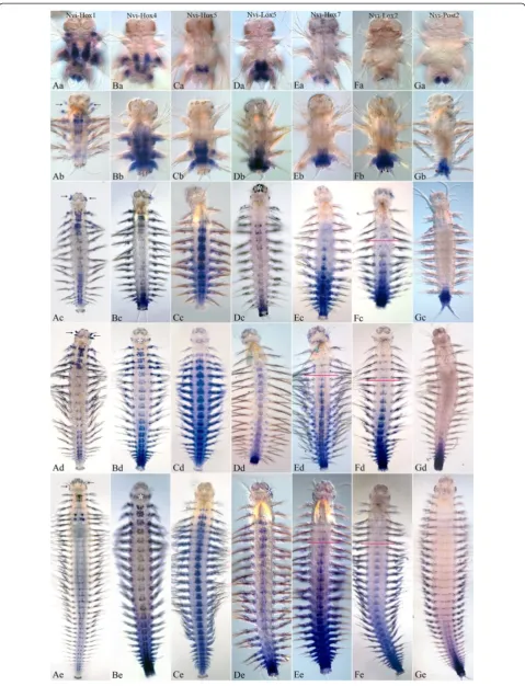Figure 3 (See legend on next page.)