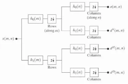 Figure 5: Image decomposition using Wavelet Transform. 