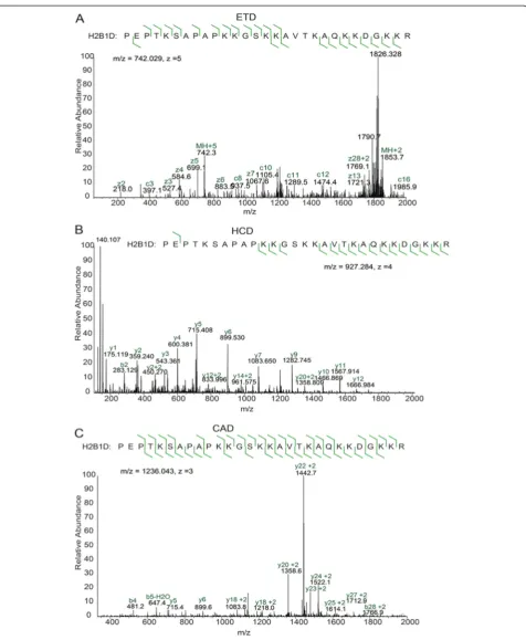 Figure 3 Comparison of MS/MS fragmentation methods for the propionylated H2B N-terminal tail