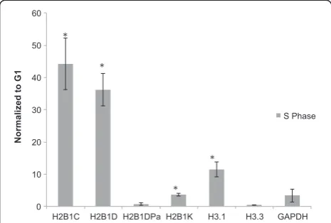 Figure 6 Polyadenylated histone isoforms show no changes inexpressed at significantly higher levels in S-phase than G1-phase.Mean ± SD,indicate alevels across the cell cycle