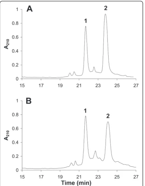 Figure 4 High-performance capillary electrophoresis (HPCE)separations of H1 histones and reversed phase highperformance liquid chromatography (RP-HPLC)-fractionatedH1.5 (inset) from (A) activated T cells, and (B) exponentiallygrowing Jurkat cells