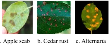 Fig 2: Proposed Leaf disease identification system 