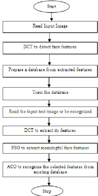 Fig. 2 Steps for feature extraction, selection and recognition in the hybrid algorithm  