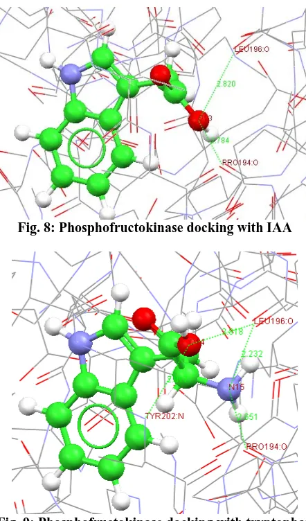 Fig. 9: Phosphofructokinase docking with tryptophan   