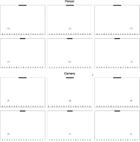 Figure 1. All stimuli. The factors were the type of object (Person or Camera) the position (Left Middle and Right) the size of the mirror (Small and Large)