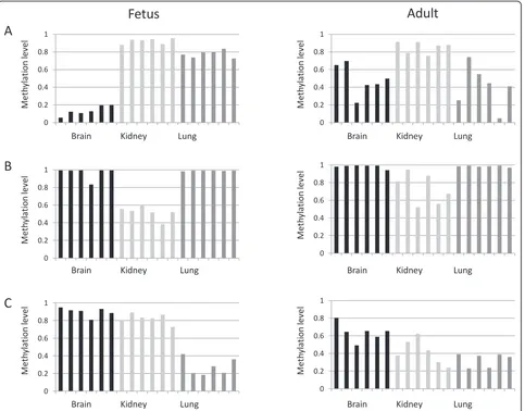 Figure 4 Lack of conservation in tissue-specific differentially methylated loci between fetus and adult