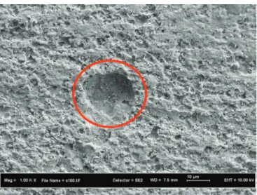 Figure 8 displays the  FESEM  image for abiotic system. 