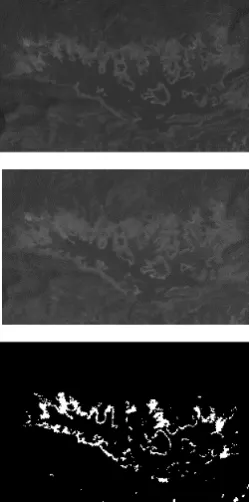 Fig 3.  Band 2 of  multitemporal images  of Malampuzha Dam, India  (a) Image acquired in 2001  (b) image acquired in 2002 c) Reference Map 