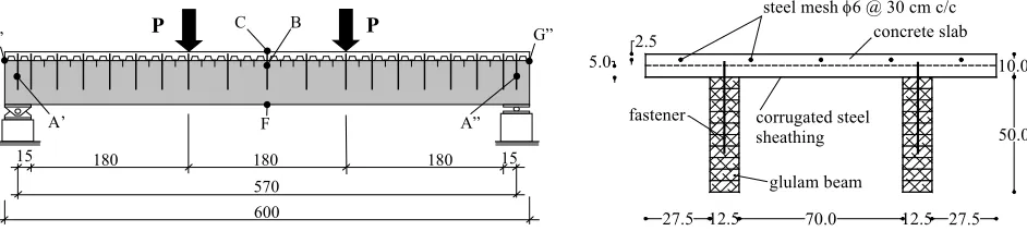 Fig 1 Longitudinal view and cross-section of the composite beam (measures in cm) 