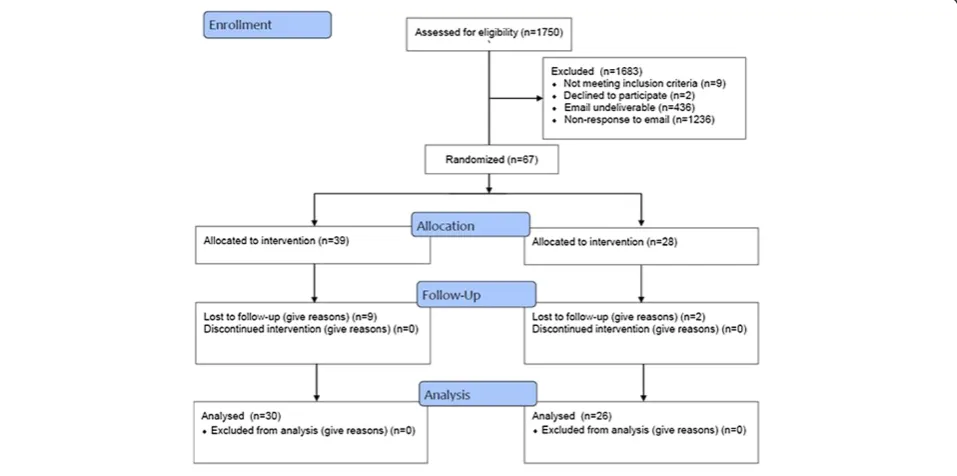 Fig. 1 Scheme for the pilot study