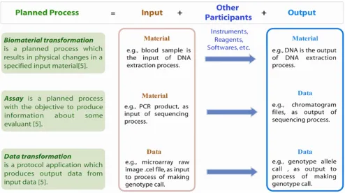 Figure 1. Planned Processes