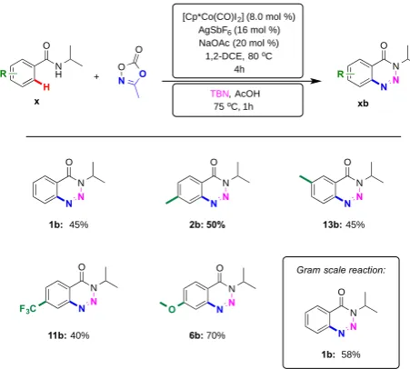 Figure 1. Solvent corrected Free Energy Surface (ΔG298 kcal mol-1) for the amidation of isopropyl benzamide with 3-methyl-1,4,2-dioxazol-5-one