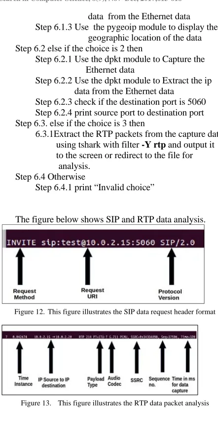 Figure 13.    This figure illustrates the RTP data packet analysis 