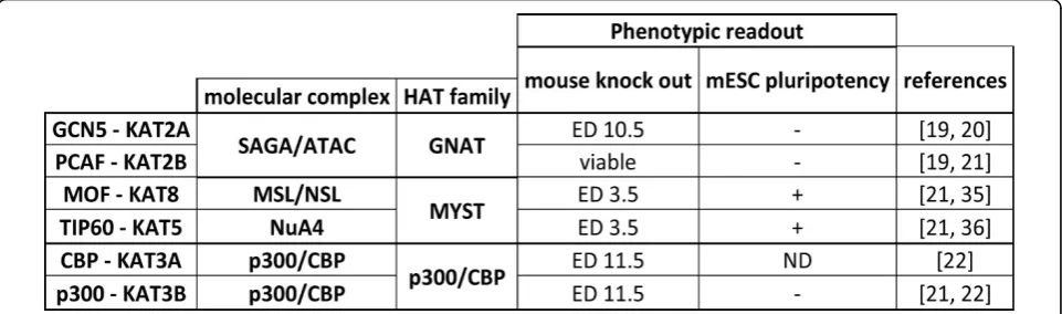 Figure 2 Phenotypes observed in gene disruption studies of HATs. Phenotypes associated with HAT genetic knockout (KO) or RNAitargeting in mouse development and embryonic stem cell (ESC) pluripotency, respectively