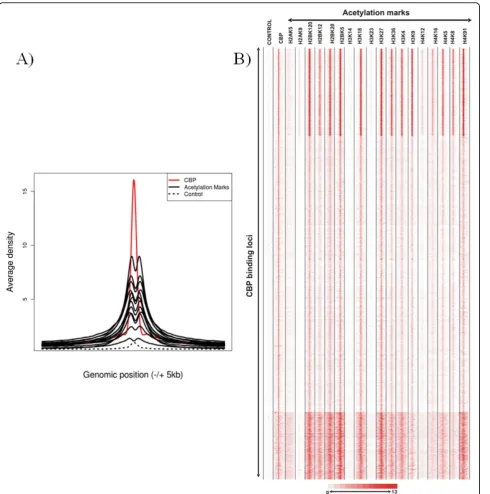 Figure 3 Similar genome-wide binding patterns of 15 HAT marks at binding sites of HATs