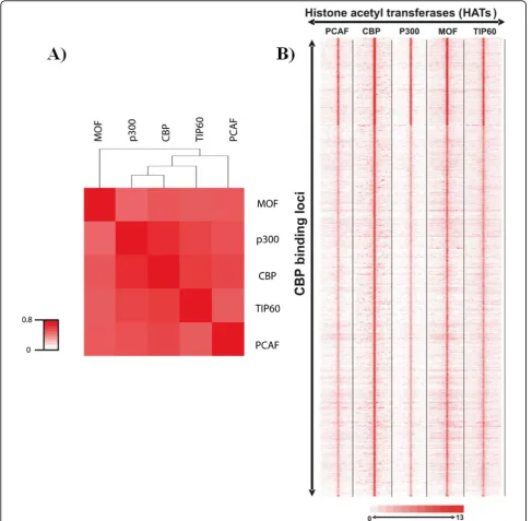 Figure 4 HATs are corecruited at high frequency on their binding loci. Raw ChIP-seq data were extracted from [12,13]