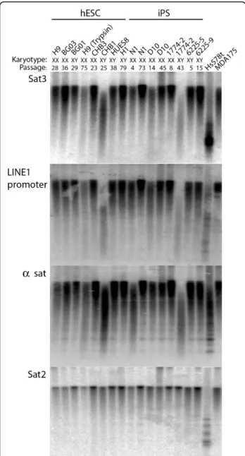 Figure 5 Instability of genomic methylation patterns in human embryonic stem (ES) and induced pluripotent stem (iPS) cells
