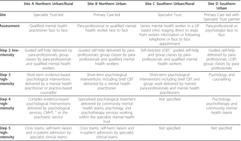 Table 2 Characteristics of stepped care services by site