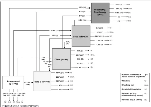 Figure 2 Site A Patient Pathways.