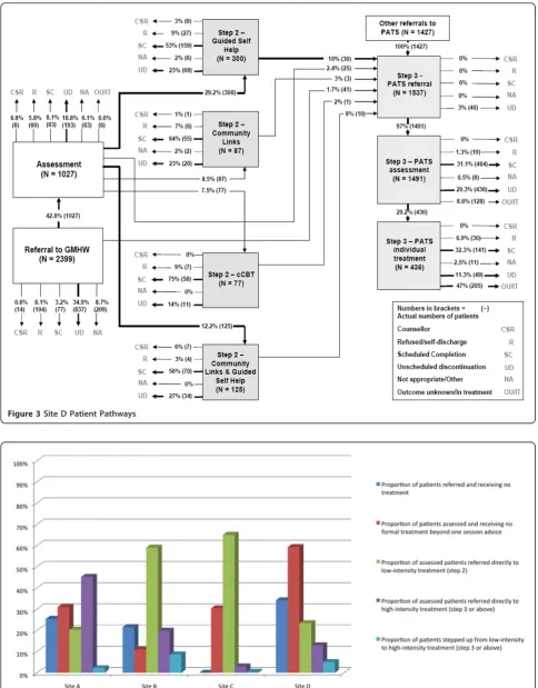 Figure 3 Site D Patient Pathways.