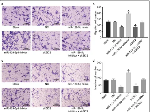 Fig. 6 Overexpressed miR-129-5p or silencing ZIC2 inhibits PCa cell migration and invasion