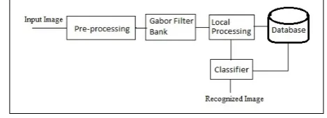 Fig. 2. Magnitude plot for the Gabor filter bank used Where (x,y) represents the co-ordinates and f(x,y) 