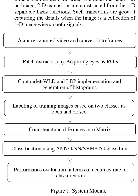 Figure 1: System Module 
