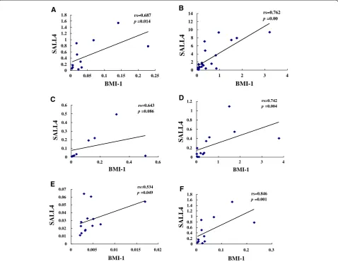 Figure 3 Correlation analysis of the relativeCML-CR (E) and CML-BC (F) groups. BMI-1 and SALL4 expression levels in healthy individuals (A), AML (B), AML-CR (C), CML (D), The data of M2, M3, M3-CR, M2-CR, and M5 groups were not shown.