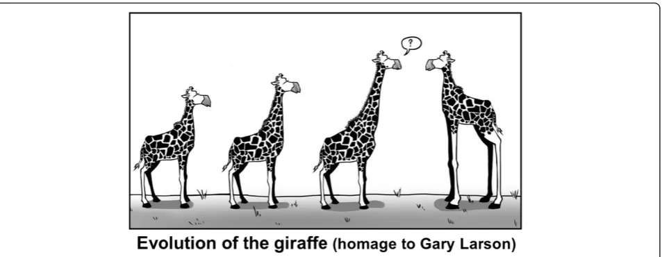 Figure 5 Hypotheses for the evolution of the giraffe neck fascinated early writers on evolution and continue to do so today