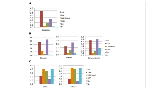 Figure 7Exon3 induces expression of downstream Activin/Nodal pathway genes in a pattern resembling XSmad3 ratherandmRNA at the two-cell stage showed elevated expression of genes downstream of the Activin/Nodal pathway