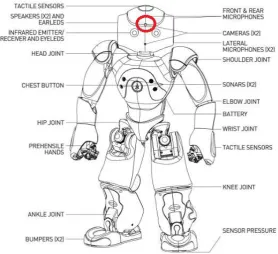 Figure 1. The Nao robot. The camera used for recording the child activity is the one on the top (circledin red).